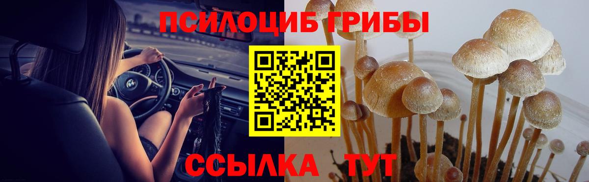 Псилоцибиновые грибы MAGIC MUSHROOMS  Вход с VPN  Лабытнанги 